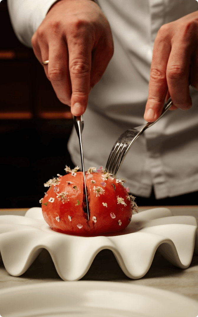 Dish tomato